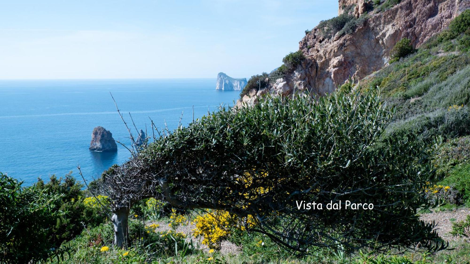Il Sogno Tanca Piras Villa Nebida Exterior foto